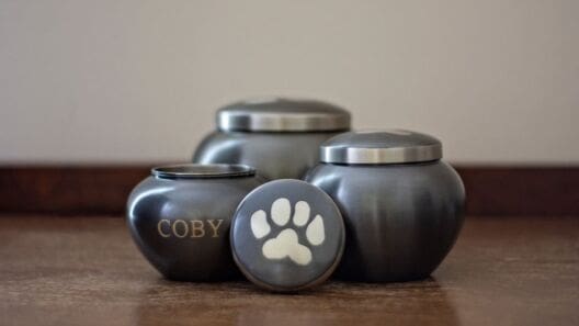 Trade body deems CMA pet cremation findings insufficient