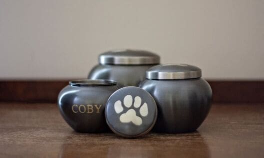 Trade body deems CMA pet cremation findings insufficient