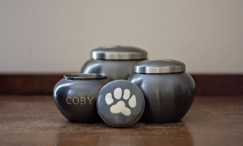 Trade body deems CMA pet cremation findings insufficient