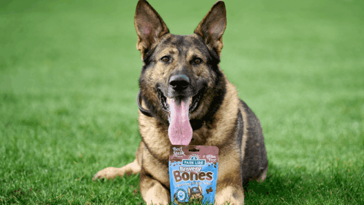 Park Life launches treats to support Thin Blue Paw charity