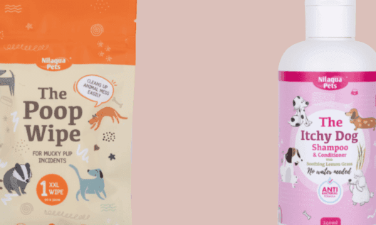Nilaqua Pets to launch waterless grooming products at Crufts 2026