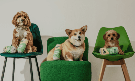 By Teddy launches matcha-inspired dog toy