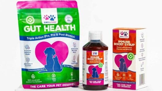 WellPaws plans international expansion amid distribution deals