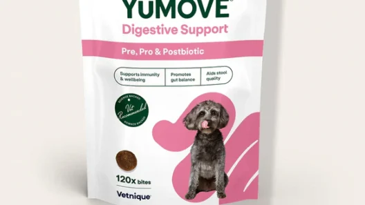 YuMove launches triple biotic gut supplement for dogs