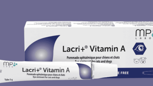 Samaxia launches vitamin A eye ointment for UK veterinary market