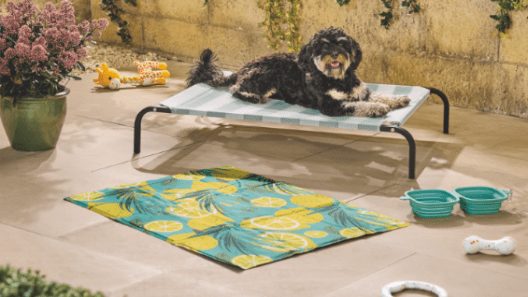 Aldi relaunches Keep Your Pet Cool range