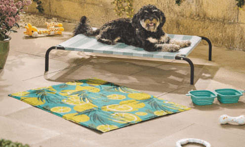 Aldi relaunches Keep Your Pet Cool range