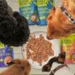 Green Pantry launches dog food range with Pickles Vets