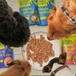 Green Pantry launches dog food range with Pickles Vets