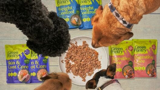 Green Pantry launches dog food range with Pickles Vets
