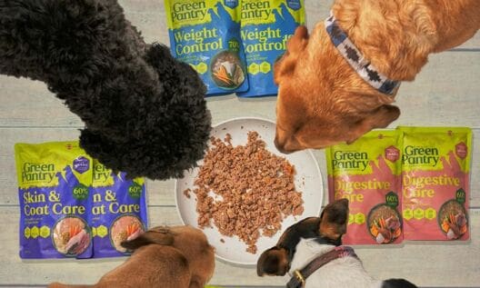 Green Pantry launches dog food range with Pickles Vets