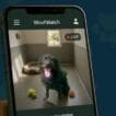 Beacon Barkers launches live kennel viewing service
