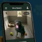 Beacon Barkers launches live kennel viewing service