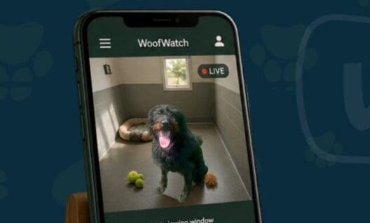 Beacon Barkers launches live kennel viewing service