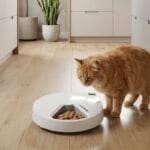 Closer Pets named among Sunday Times Best Places to Work 2026