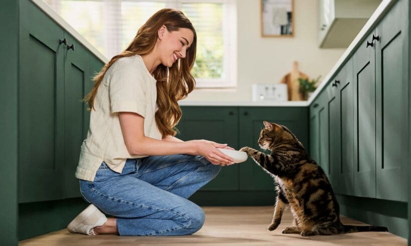 Encore launches new cat bone broth toppers