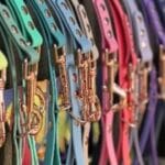 Trinkety Paws launches waterproof pet accessories range