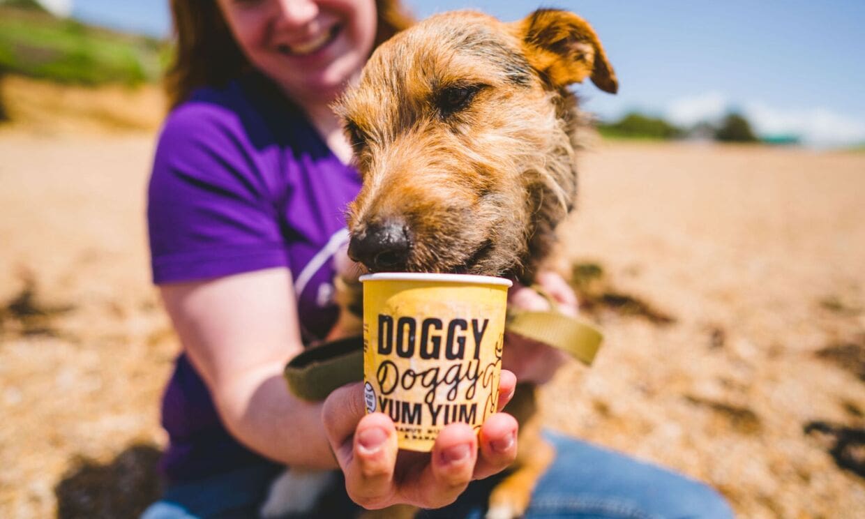Doggy Doggy Yum Yum marks decade of growth with 10 year anniversary