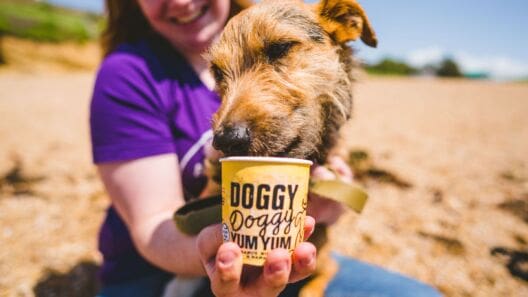 Doggy Doggy Yum Yum marks decade of growth with 10 year anniversary
