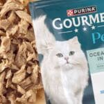 Purina relaunches Gourmet wet cat food range across Europe