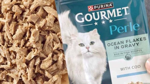 Purina relaunches Gourmet wet cat food range across Europe