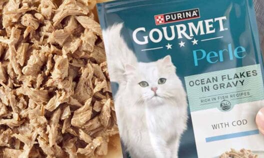 Purina relaunches Gourmet wet cat food range across Europe